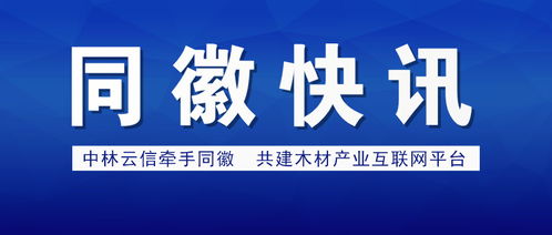 項(xiàng)城醫(yī)藥行業(yè)網(wǎng)站建設(shè)解決方案 打造數(shù)字化健康門戶